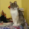 Отзыв от Зоя Маркова